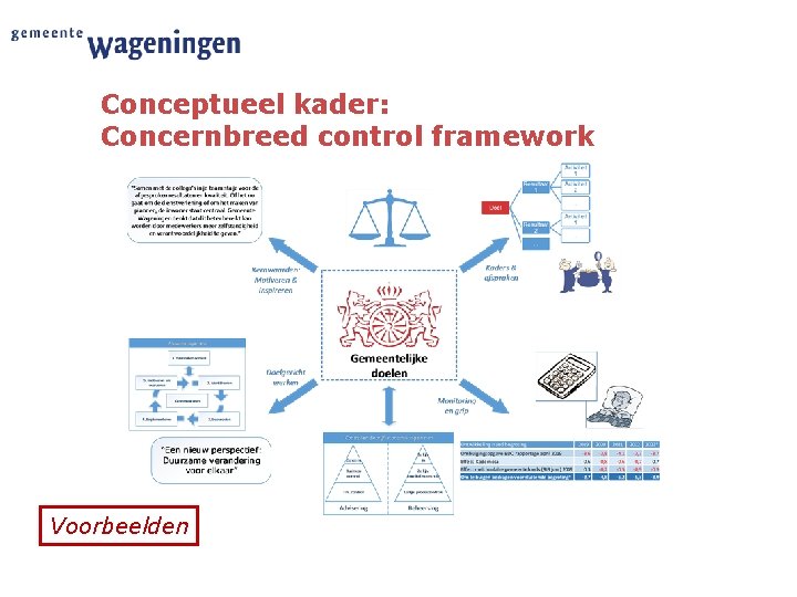 Conceptueel kader: Concernbreed control framework Voorbeelden 