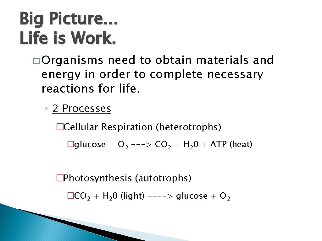 Big Picture. . . Life is Work. � Organisms need to obtain materials and