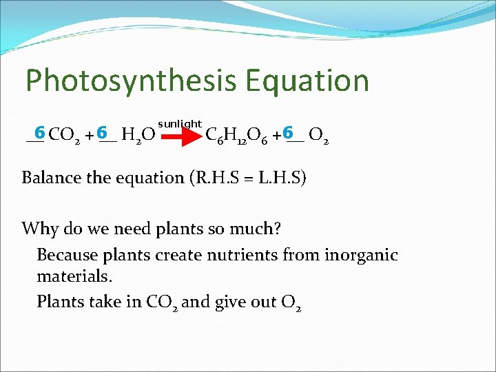 Photosynthesis Equation 6 CO 2 + 6 __ __ H 2 O sunlight C