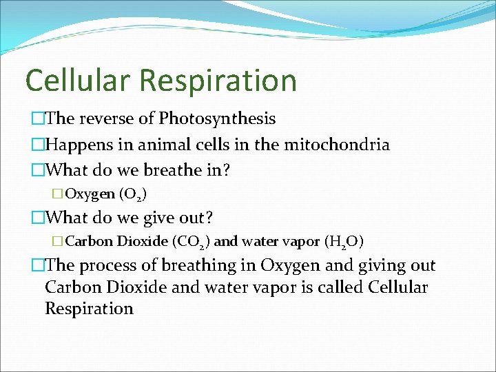 Cellular Respiration �The reverse of Photosynthesis �Happens in animal cells in the mitochondria �What