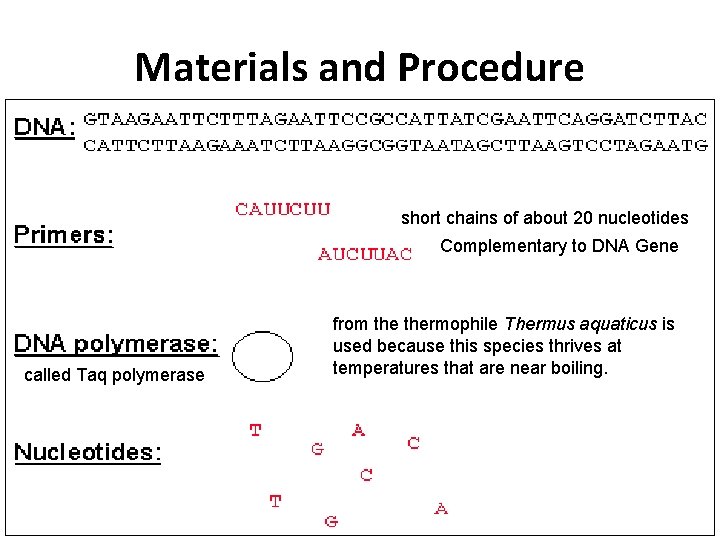 Materials and Procedure short chains of about 20 nucleotides Complementary to DNA Gene called