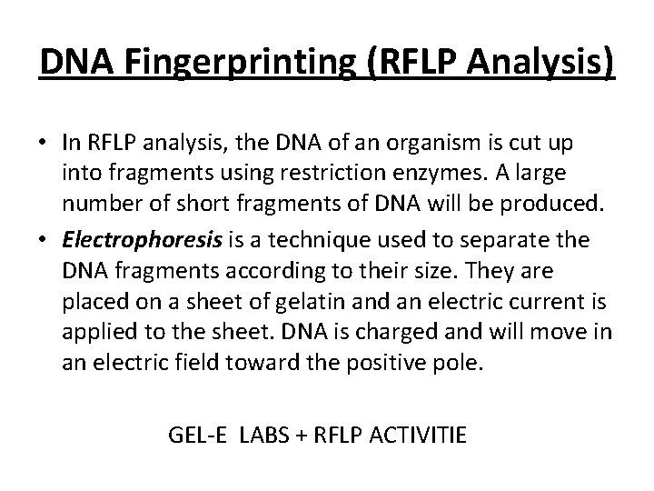 DNA Fingerprinting (RFLP Analysis) • In RFLP analysis, the DNA of an organism is