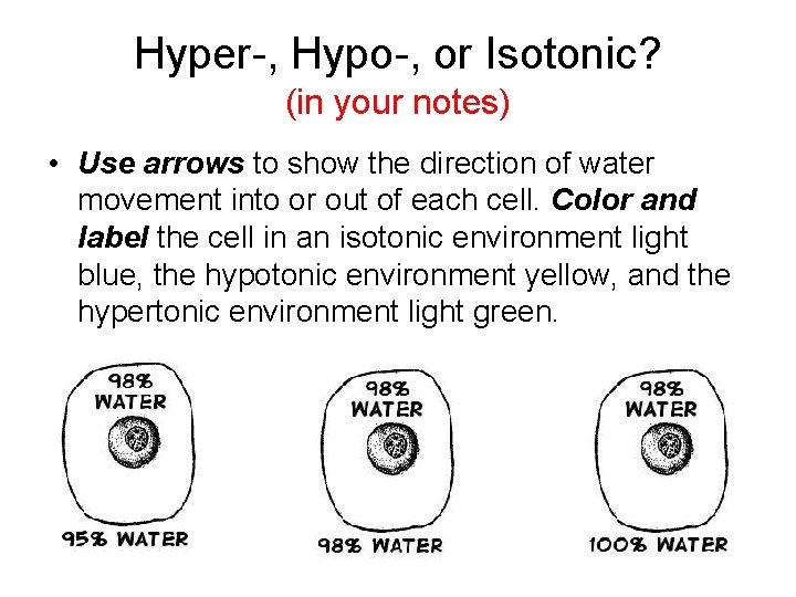 Hyper-, Hypo-, or Isotonic? (in your notes) • Use arrows to show the direction