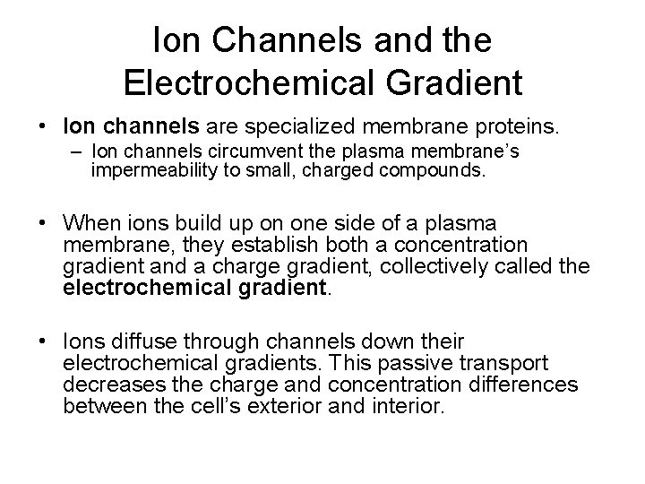 Ion Channels and the Electrochemical Gradient • Ion channels are specialized membrane proteins. –