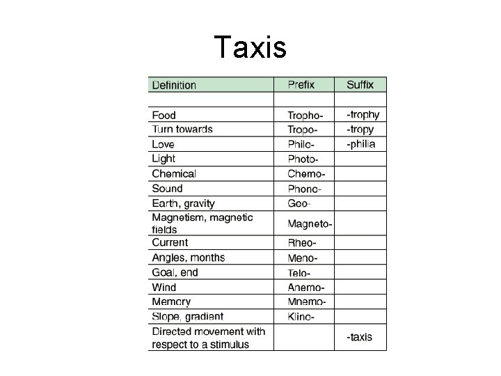 Taxis 