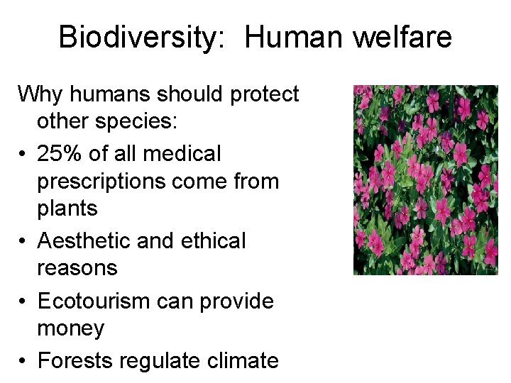 Biodiversity: Human welfare Why humans should protect other species: • 25% of all medical