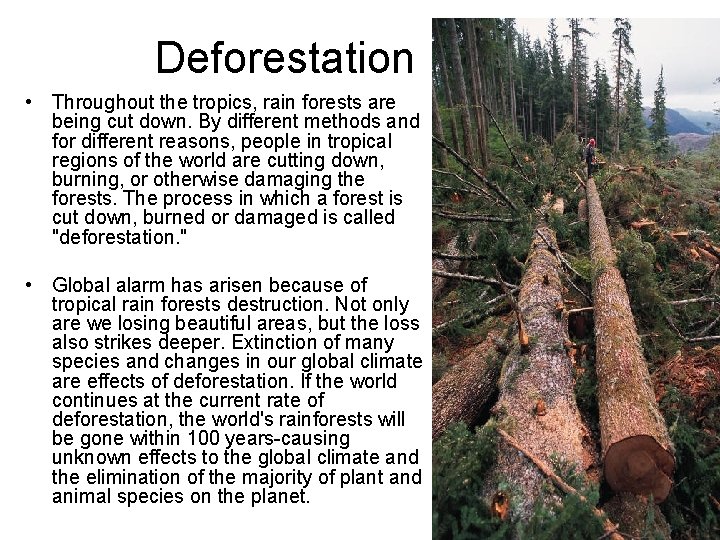 Deforestation • Throughout the tropics, rain forests are being cut down. By different methods
