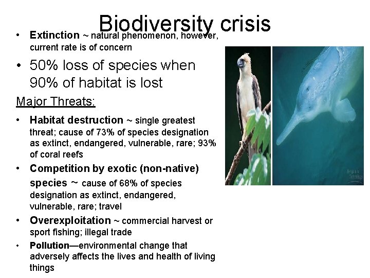 Biodiversity crisis • Extinction ~ natural phenomenon, however, current rate is of concern •