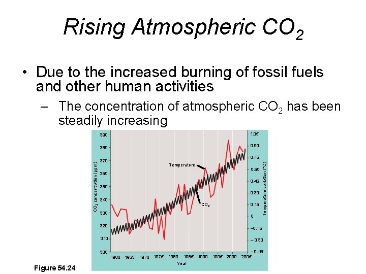 Rising Atmospheric CO 2 • Due to the increased burning of fossil fuels and