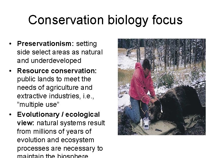 Conservation biology focus • Preservationism: setting side select areas as natural and underdeveloped •