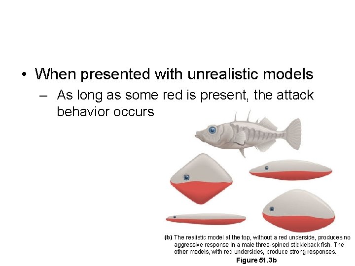  • When presented with unrealistic models – As long as some red is
