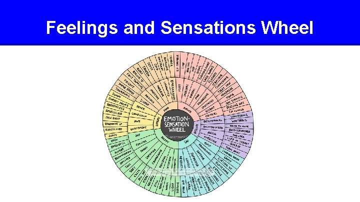 Feelings and Sensations Wheel 