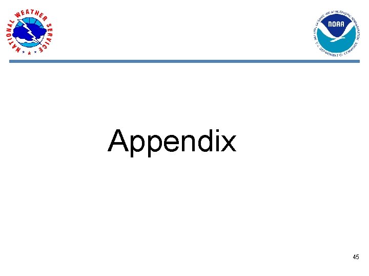 Appendix 45 