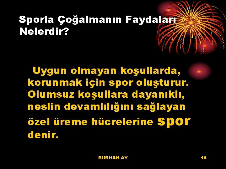 Sporla Çoğalmanın Faydaları Nelerdir? Uygun olmayan koşullarda, korunmak için spor oluşturur. Olumsuz koşullara dayanıklı,