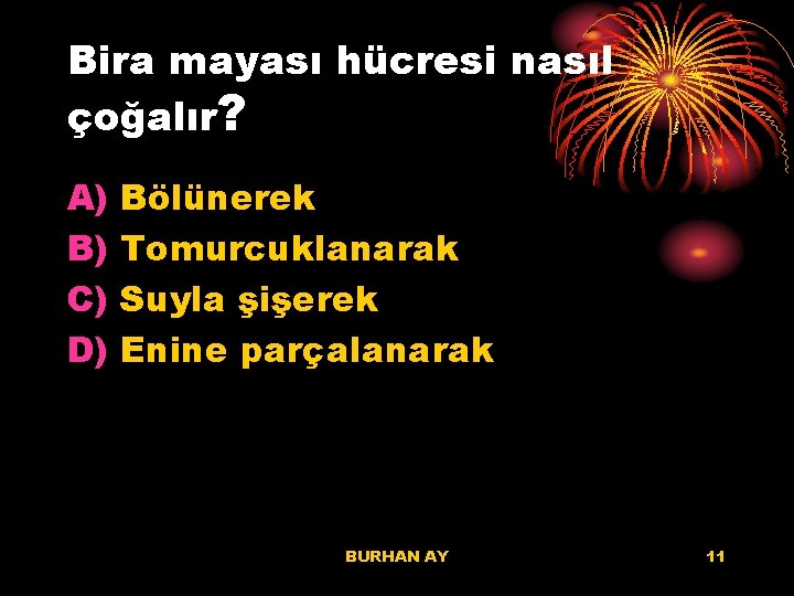 Bira mayası hücresi nasıl çoğalır? A) B) C) D) Bölünerek Tomurcuklanarak Suyla şişerek Enine