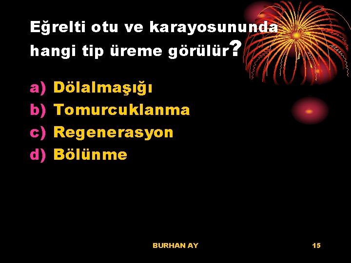 Eğrelti otu ve karayosununda hangi tip üreme görülür? a) b) c) d) Dölalmaşığı Tomurcuklanma