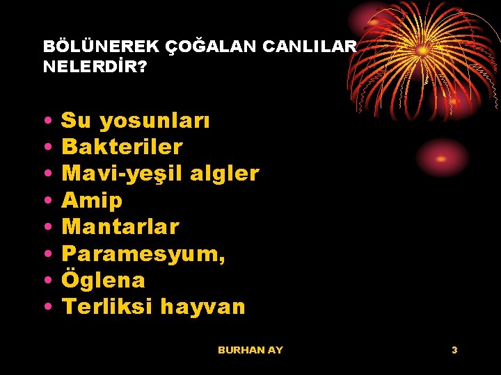 BÖLÜNEREK ÇOĞALAN CANLILAR NELERDİR? • • Su yosunları Bakteriler Mavi-yeşil algler Amip Mantarlar Paramesyum,