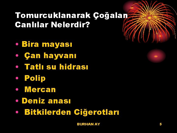 Tomurcuklanarak Çoğalan Canlılar Nelerdir? • • Bira mayası Çan hayvanı Tatlı su hidrası Polip