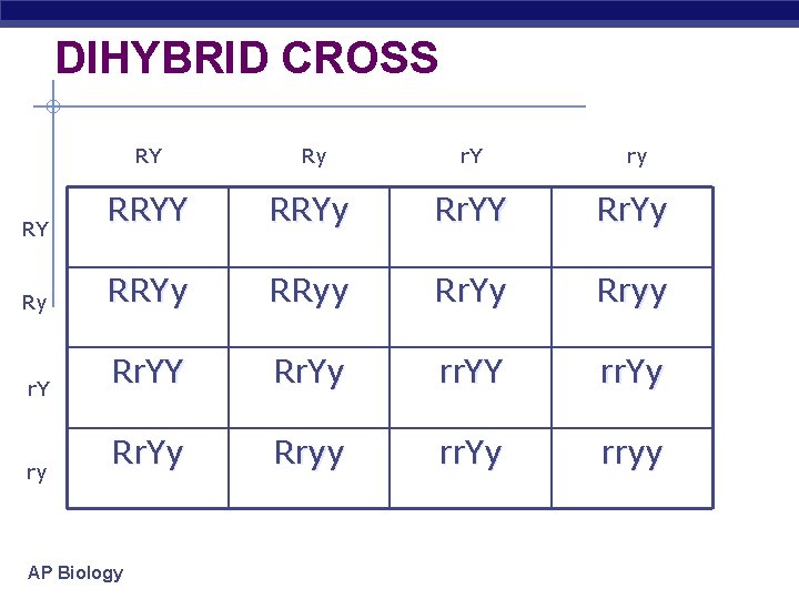 DIHYBRID CROSS RY Ry r. Y ry RRYY RRYy Rr. YY Rr. Yy RRyy