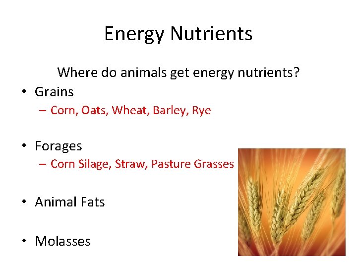 Animal Nutrition 5 Basic Classes of Nutrients Water