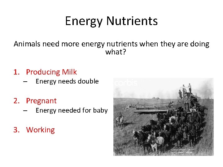 Energy Nutrients Animals need more energy nutrients when they are doing what? 1. Producing
