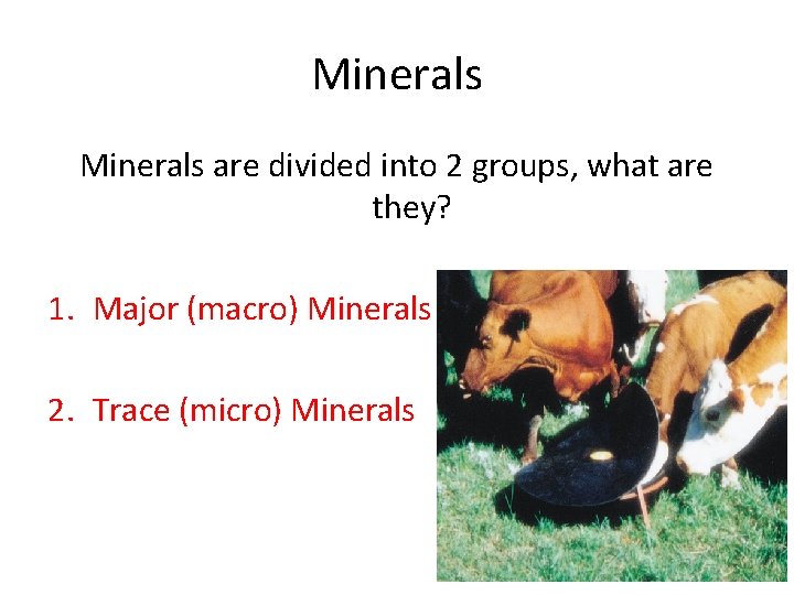 Minerals are divided into 2 groups, what are they? 1. Major (macro) Minerals 2.