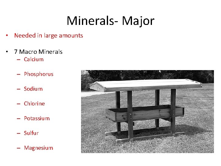 Minerals- Major • Needed in large amounts • 7 Macro Minerals – Calcium –