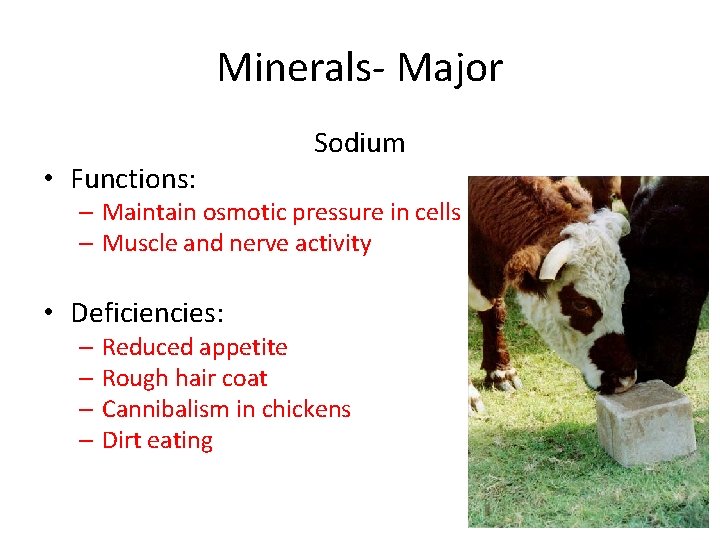 Minerals- Major • Functions: Sodium – Maintain osmotic pressure in cells – Muscle and