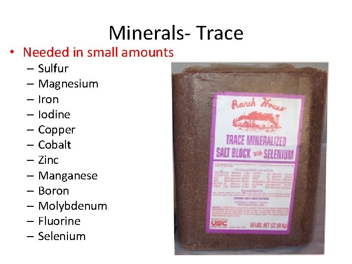 Minerals- Trace • Needed in small amounts – Sulfur – Magnesium – Iron –
