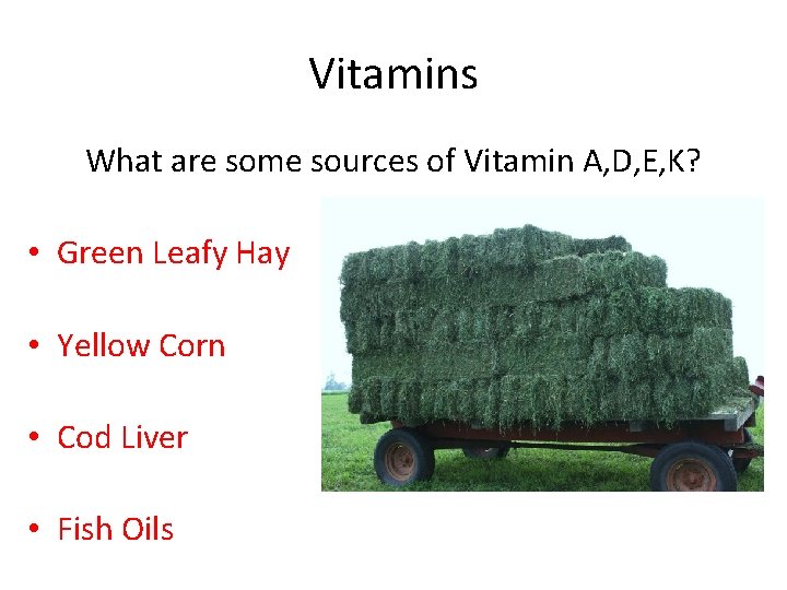 Vitamins What are some sources of Vitamin A, D, E, K? • Green Leafy