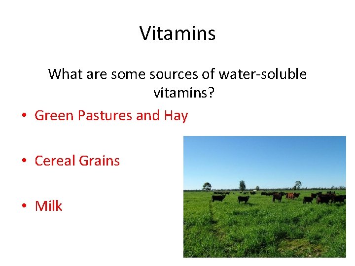 Vitamins What are some sources of water-soluble vitamins? • Green Pastures and Hay •