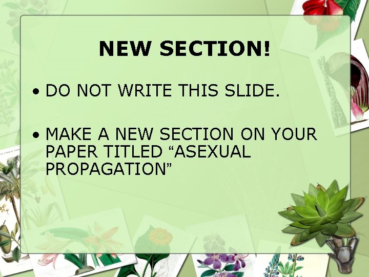 NEW SECTION! • DO NOT WRITE THIS SLIDE. • MAKE A NEW SECTION ON