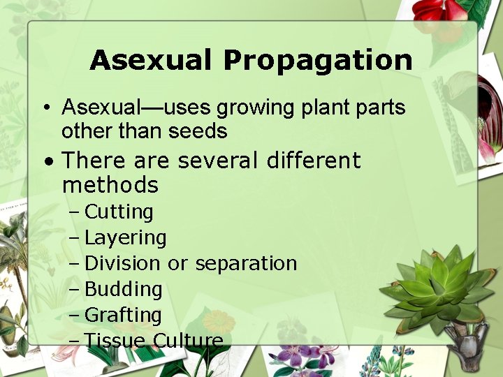 Asexual Propagation • Asexual—uses growing plant parts other than seeds • There are several