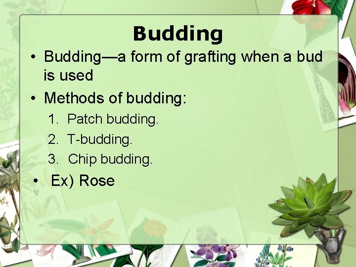 Budding • Budding—a form of grafting when a bud is used • Methods of