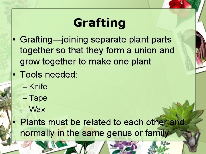 Grafting • Grafting—joining separate plant parts together so that they form a union and