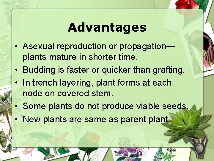 Advantages • Asexual reproduction or propagation— plants mature in shorter time. • Budding is