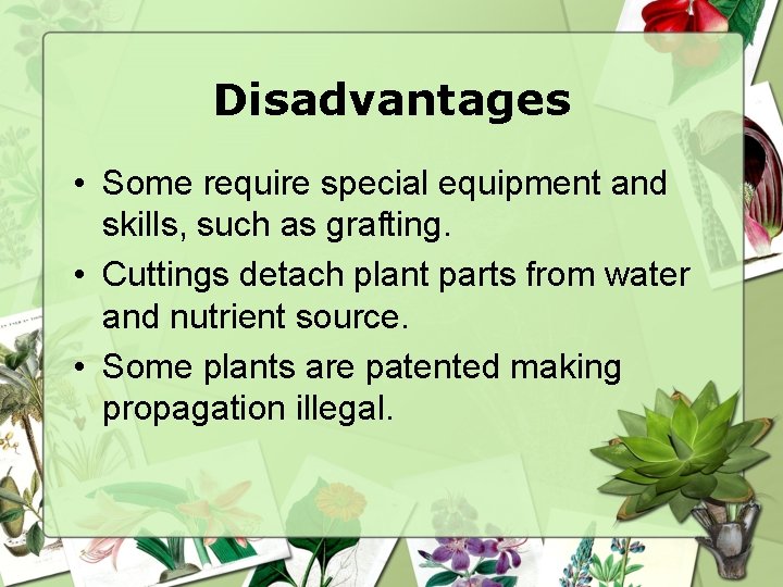 Disadvantages • Some require special equipment and skills, such as grafting. • Cuttings detach