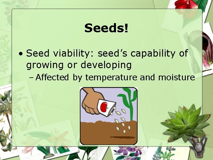 Seeds! • Seed viability: seed’s capability of growing or developing – Affected by temperature