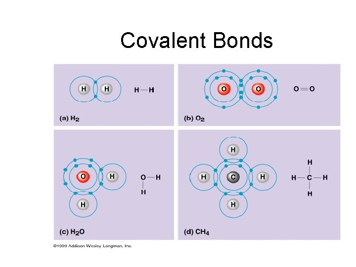 Covalent Bonds 