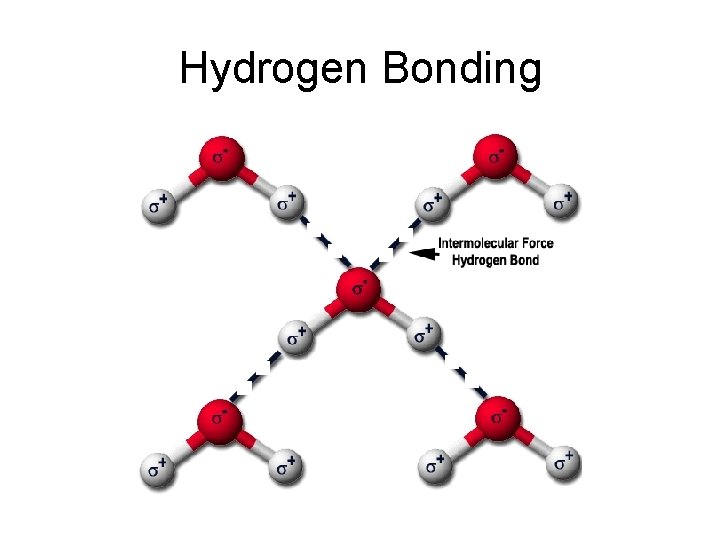 Hydrogen Bonding 