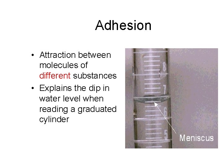 Adhesion • Attraction between molecules of different substances • Explains the dip in water