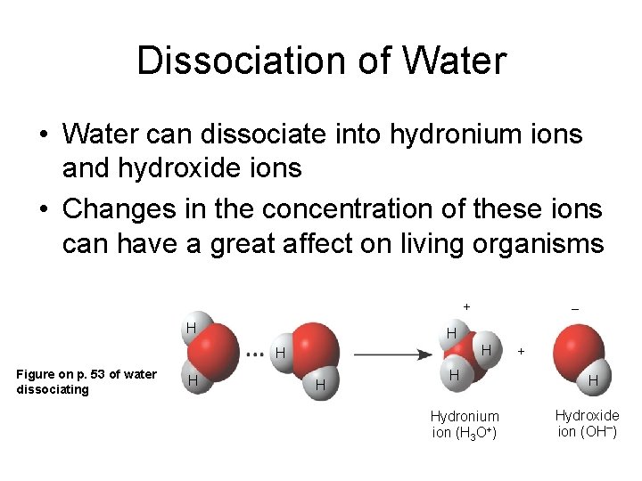 Dissociation of Water • Water can dissociate into hydronium ions and hydroxide ions •