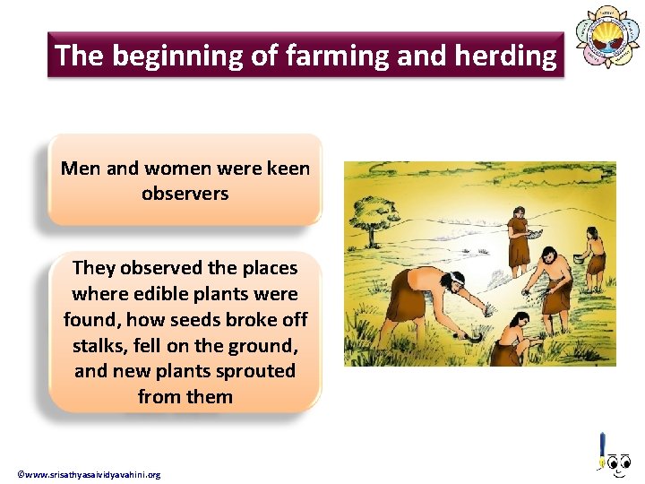 The beginning of farming and herding Men and women were keen observers They observed