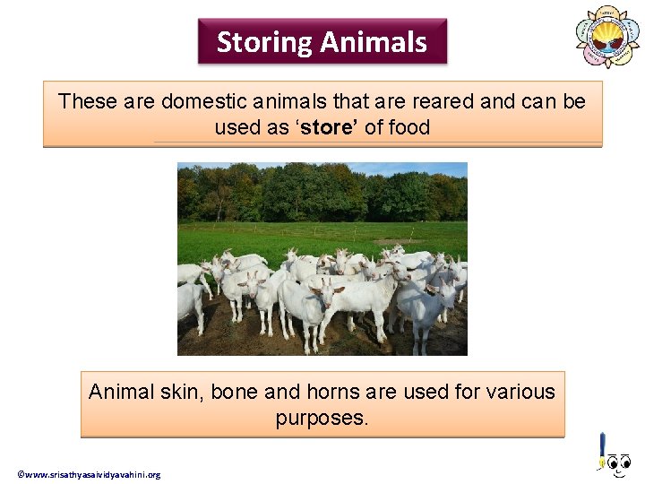 Storing Animals These are domestic animals that are reared and can be used as