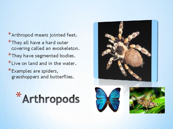 * Arthropod means jointed feet. * They all have a hard outer covering called