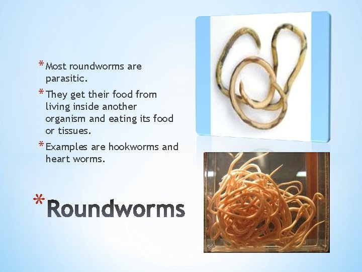 * Most roundworms are parasitic. * They get their food from living inside another