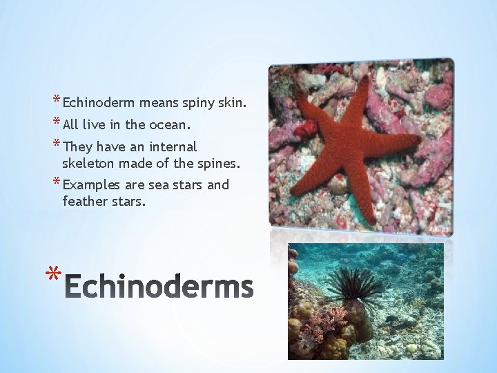 * Echinoderm means spiny skin. * All live in the ocean. * They have