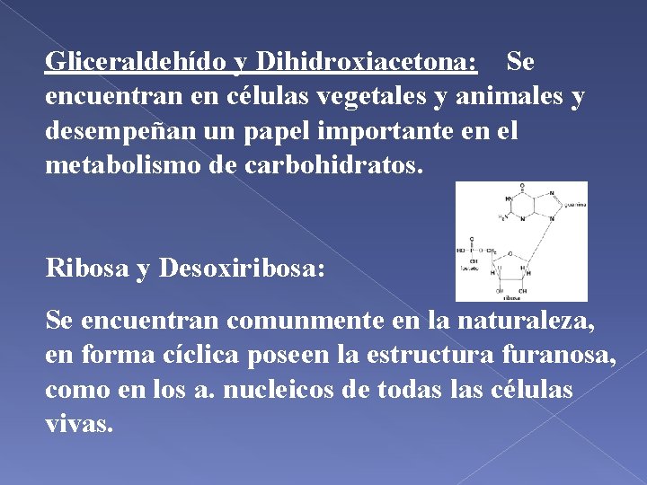 SEMANA 25 CONTINUACIN Mutarrotacin en el equilibrio predomina
