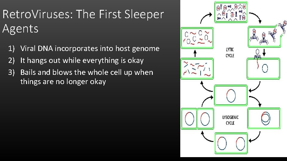 Retro. Viruses: The First Sleeper Agents 1) Viral DNA incorporates into host genome 2)