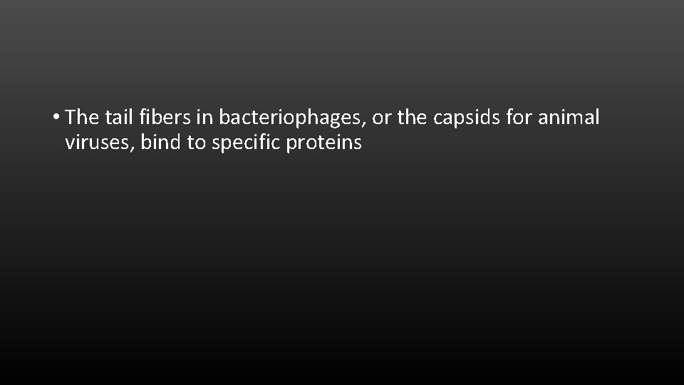  • The tail fibers in bacteriophages, or the capsids for animal viruses, bind